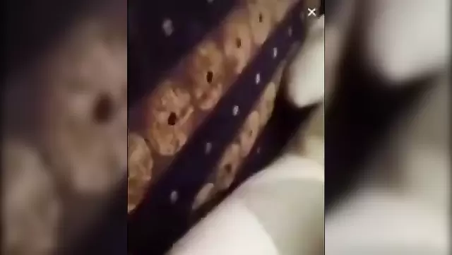 Real Turkish sex in Bursa